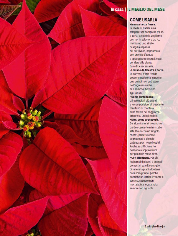 Il Mio Giar Dic 2023-Gen 2024 (2)