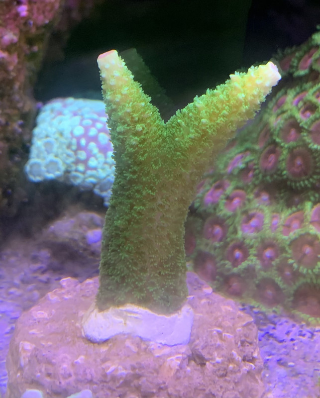 A73DE1D0-DBDC-462C-9924-B609FB61F2E8