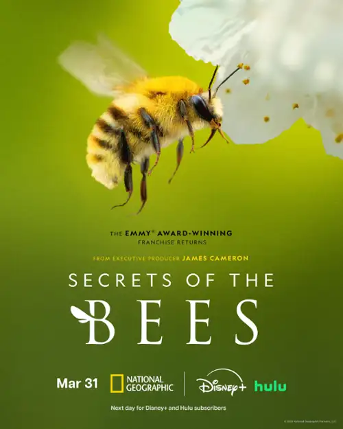 Sekretne życie pszczół / Secrets of the Bees (2026) (Sezon 1) PL.2160p.DSNP.WEB-DL.H265.DDP5.1-S78 / Lektor PL