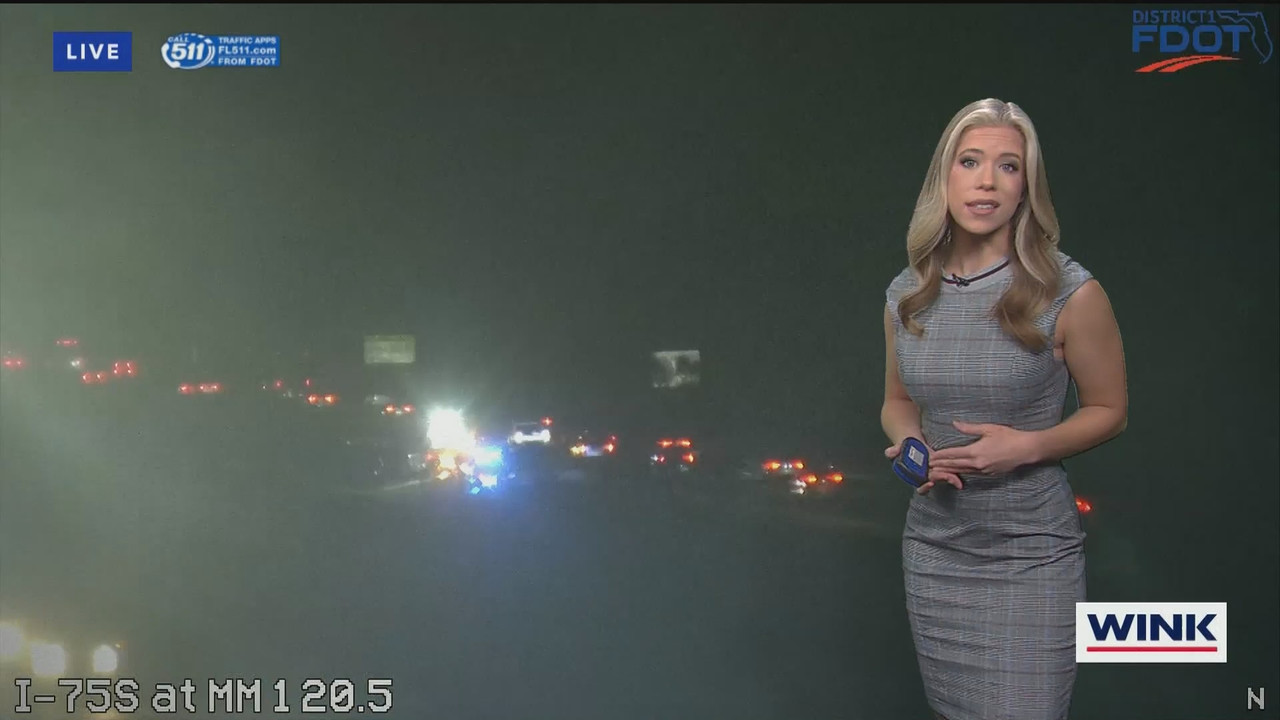 WINK News at 600am_20241101_10001030.ts_snapshot_16.43.264