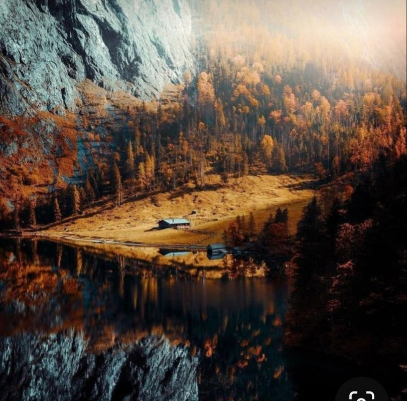 Screenshot_20231112_160131_Pinterest