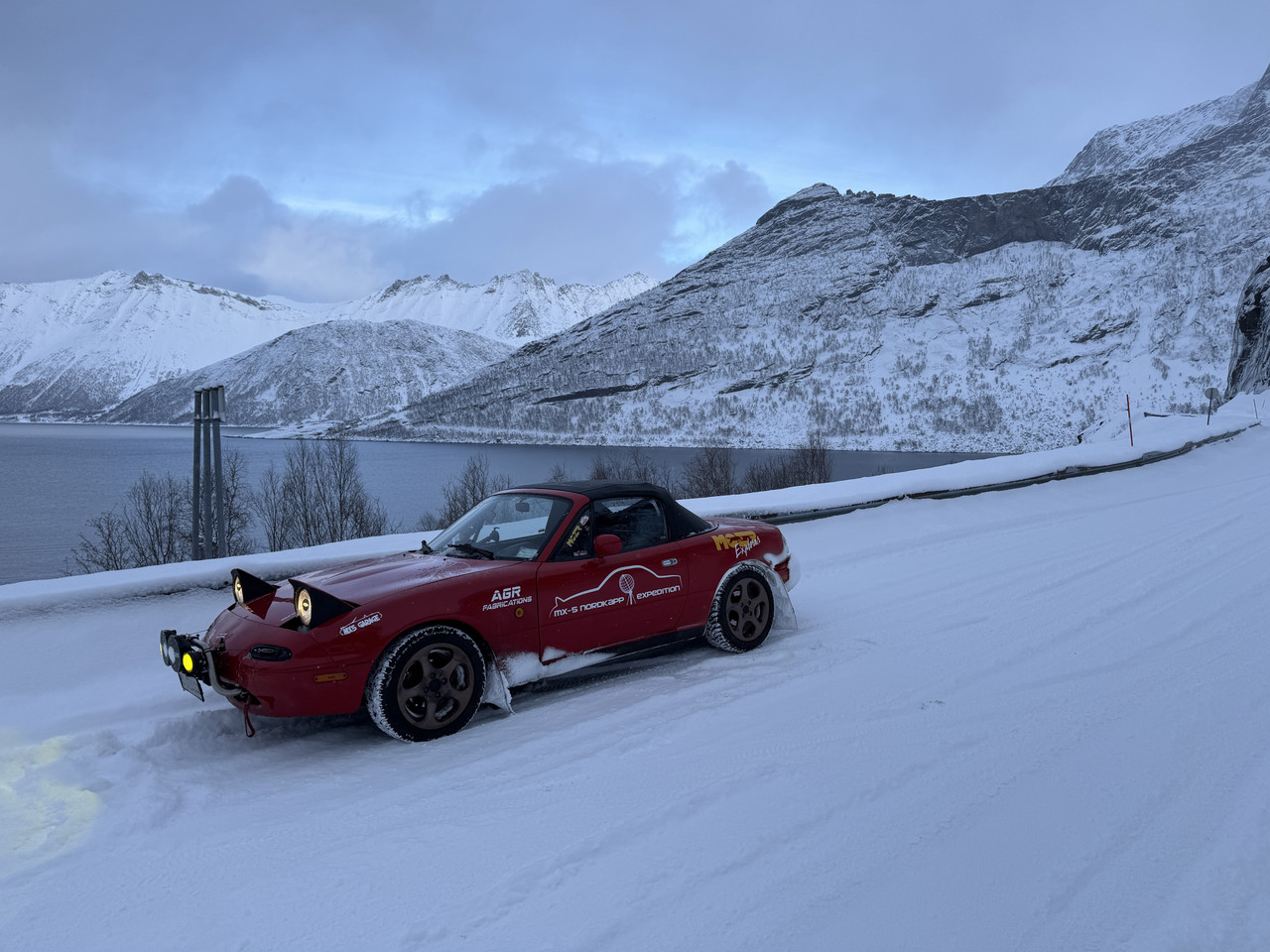 [Immagine: IMG_8364.jpg]