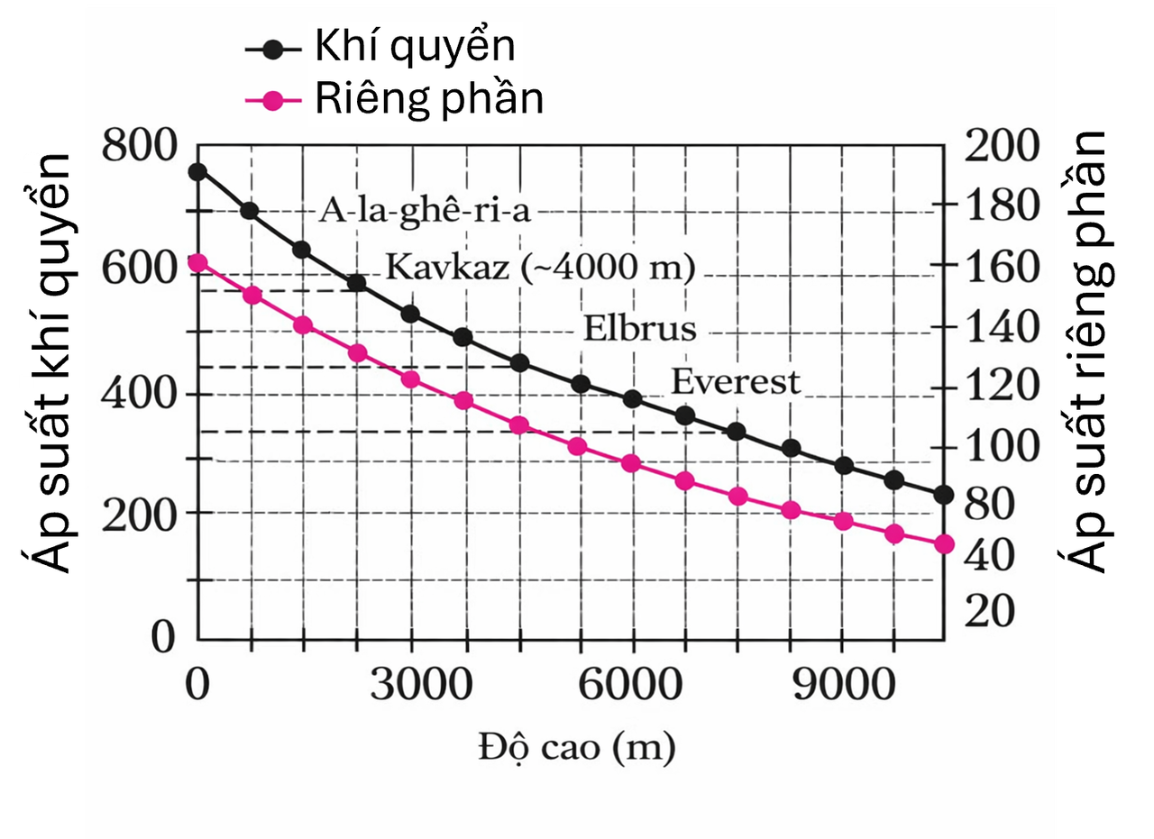 Quan hệ giữa áp suất khí quyển và áp suất riêng phần oxy theo độ cao