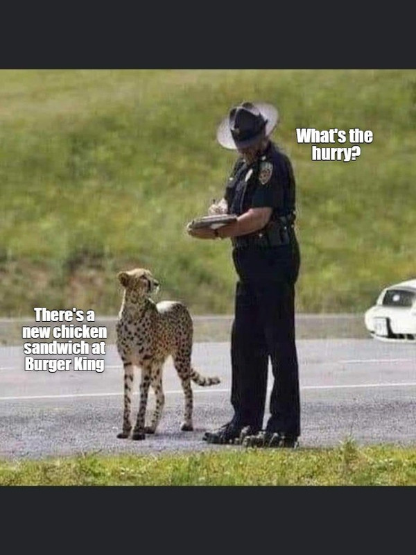 its-not-that-good