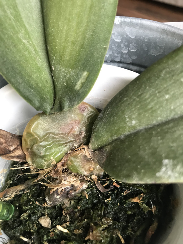 D589425D-4583-484B-8529-A4BB2FA6D161