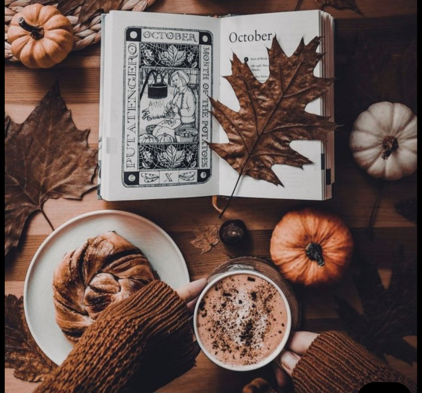 Screenshot_20251007_181933_Pinterest