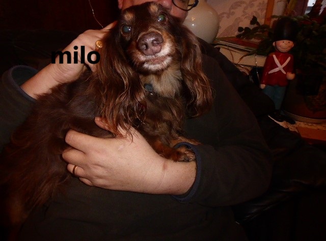 [Image: P1050748-Copie.jpg]