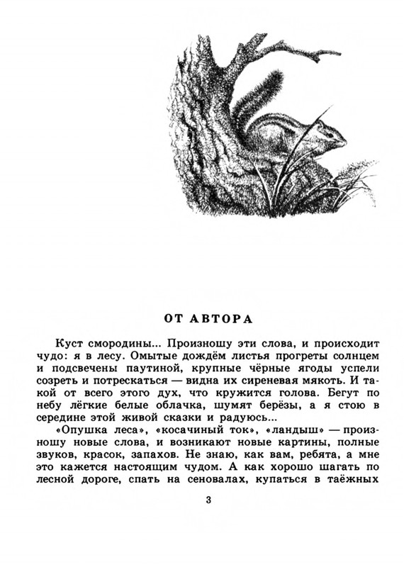 Belozerov-Timofej-Smorodinovyj-kust-1977-page-0006