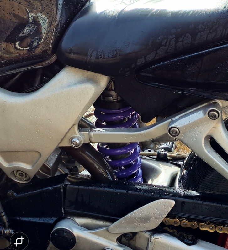 Screenshot_20250419_041519_Gallery