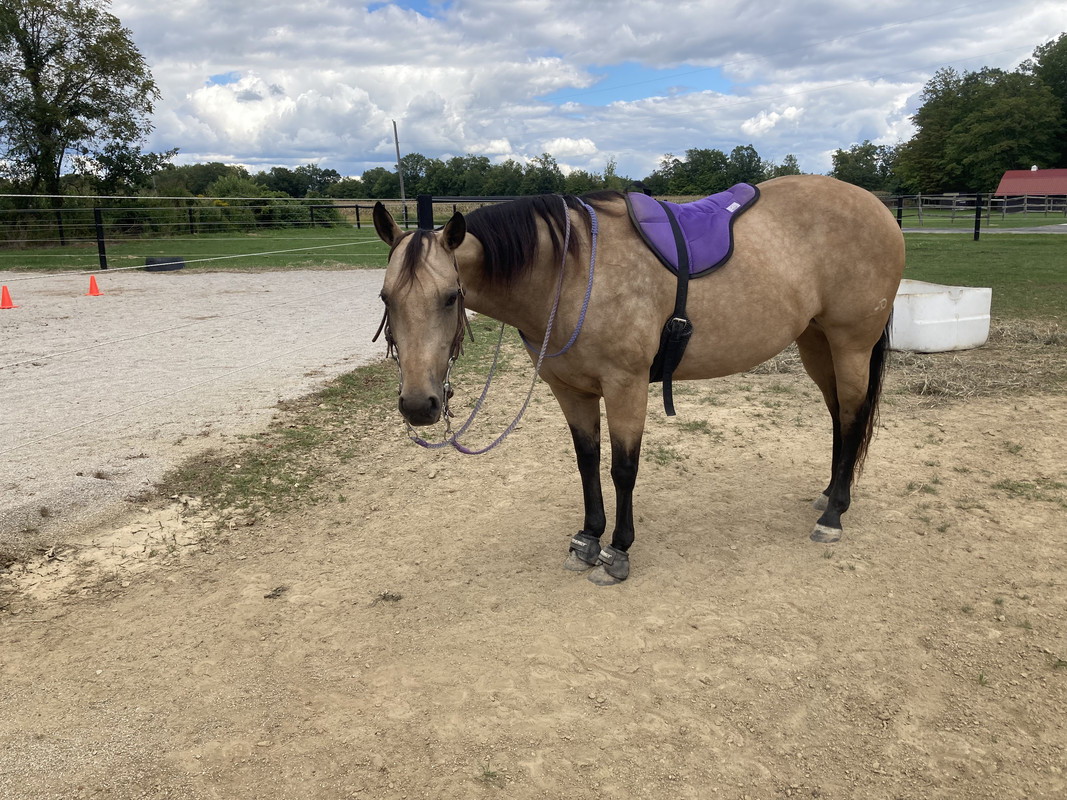 0CCCF55D-FB77-48AD-8AF8-BEE3CF9BE363