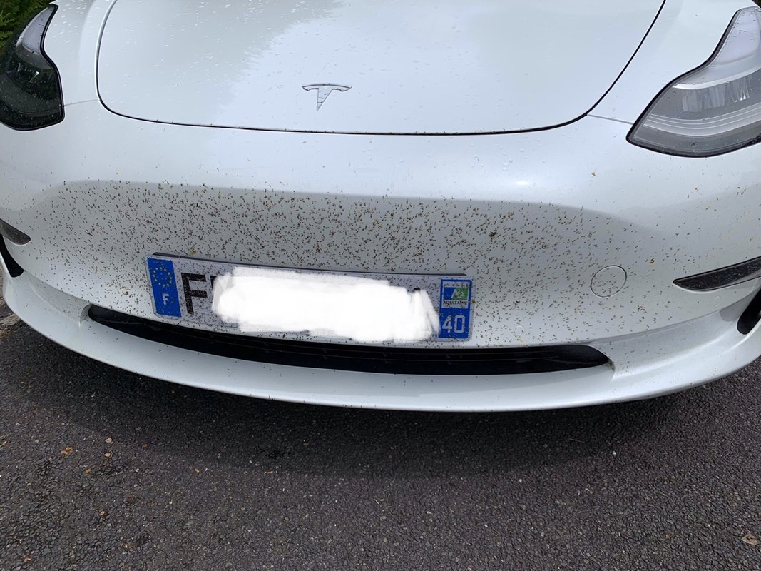 68C03782-538C-4D8A-923A-59B68B3A21F6