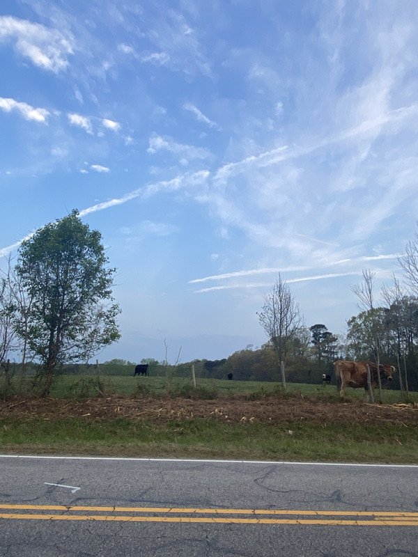 DE4DCD72-33B5-4711-8C61-59A4435AAF7C