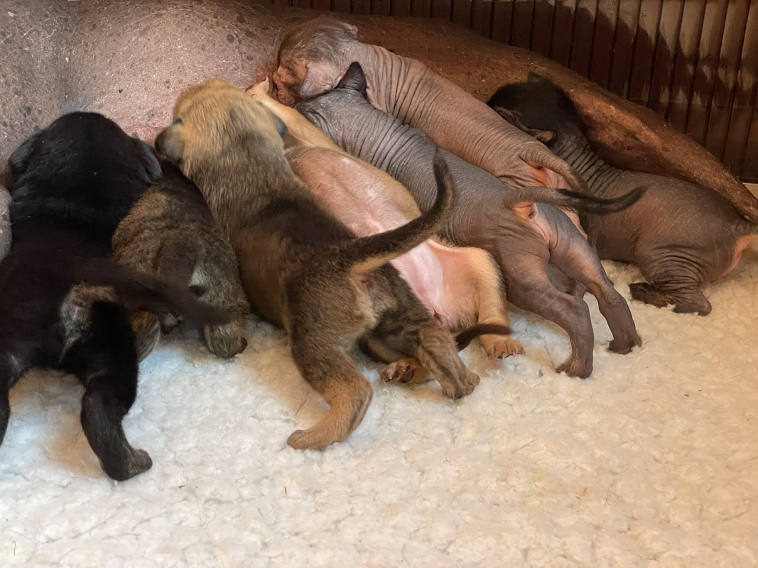 E02EEA33-3204-46B6-BAA5-643160031E1A