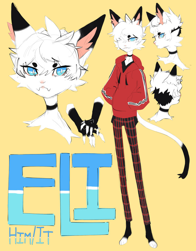 21843888_fihh4YrNtKi9eVb