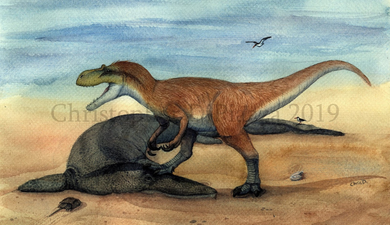 Dryptosaurus (wm)