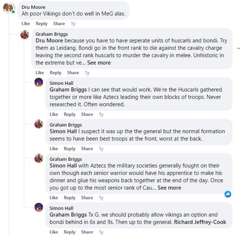 meg vikings2