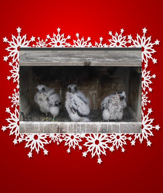 88B44672-BAC3-4864-A97C-06015885B1E3