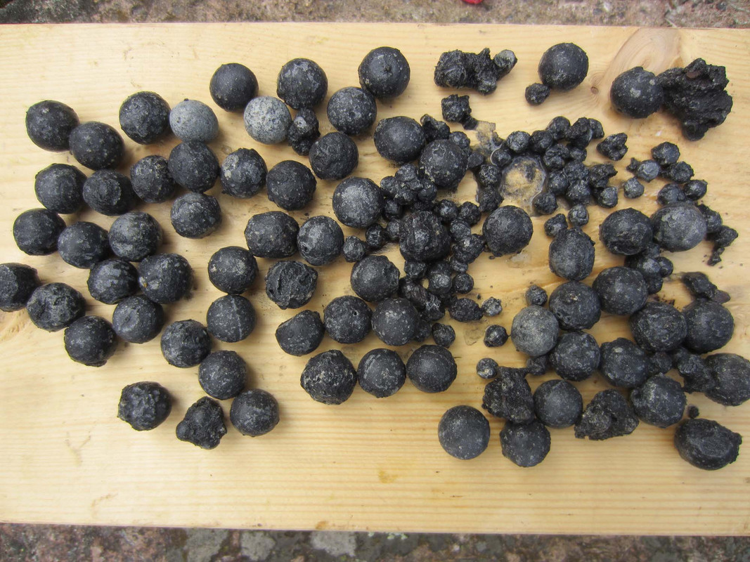 IMG_2117päivän kuulat