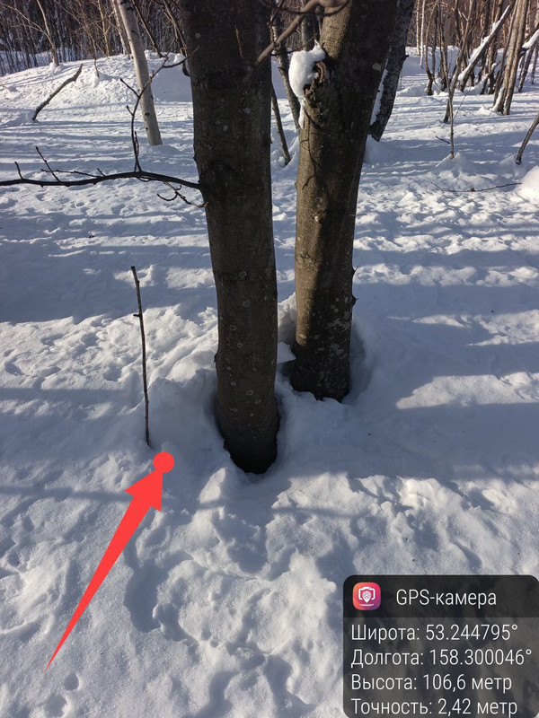 IMG 20260123 152609 895