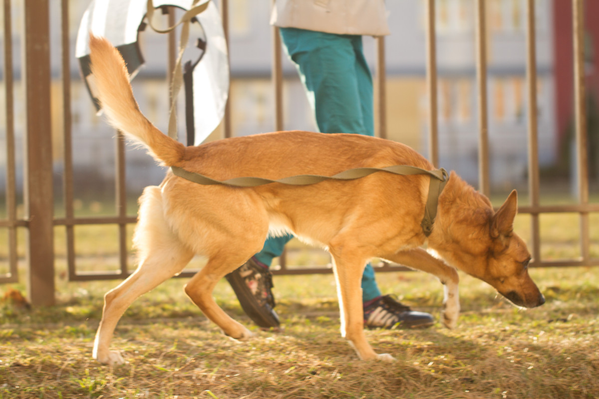 без имени-5323