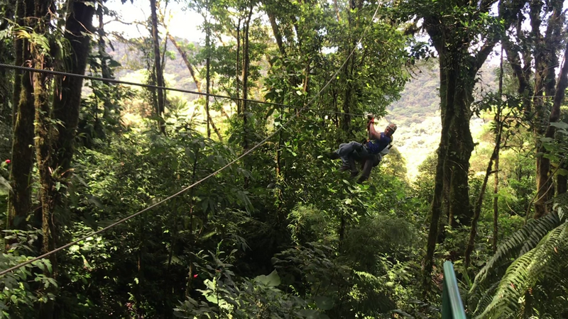 DIA 11: TIROLINAS EN MONTEVERDE Y TOUR NOCTURNO POR LA SELVA - DE TORTUGAS Y PEREZOSOS. COSTA RICA 2019 (8)