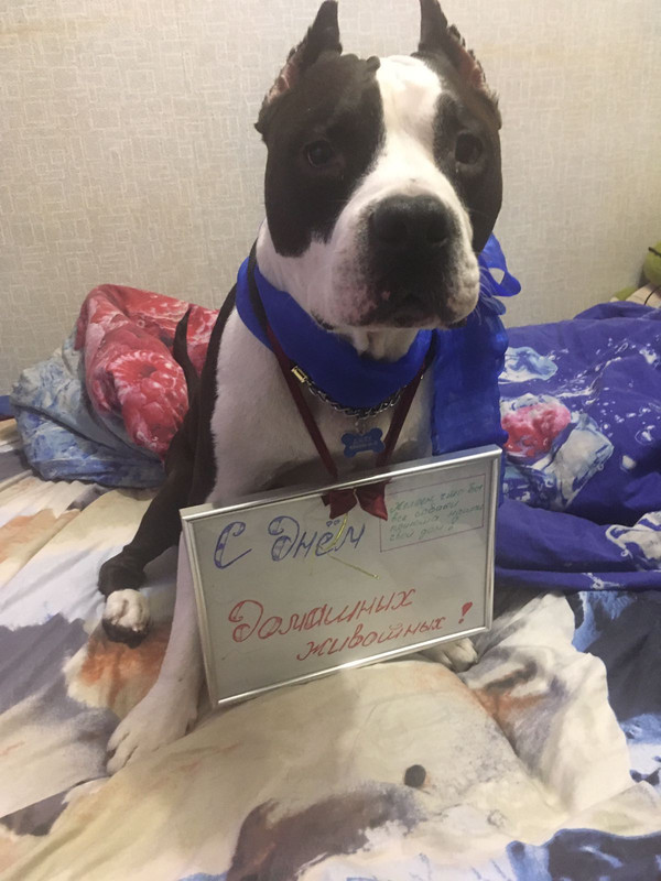 E4B8692E-32C5-4145-9D80-A3C7E25213DD