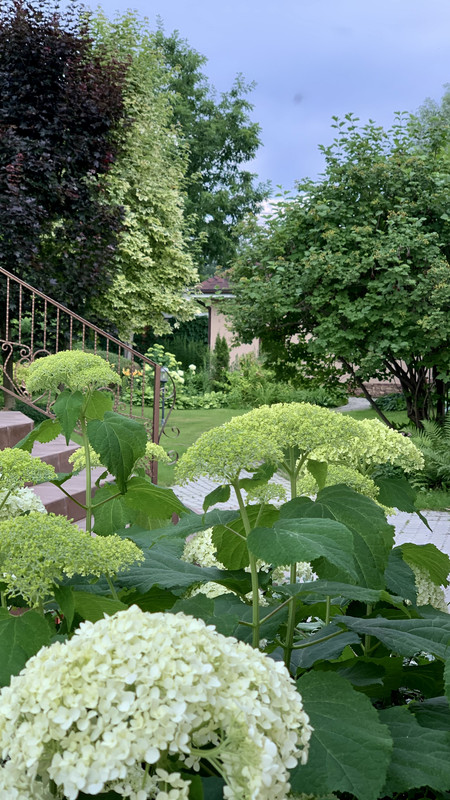 4E53167E-4526-432B-9871-5BF9C4FBFB44