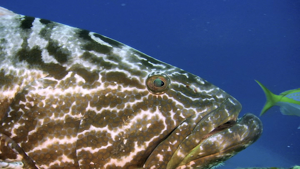 vlcsnap-2018-09-30-01h38m14s507