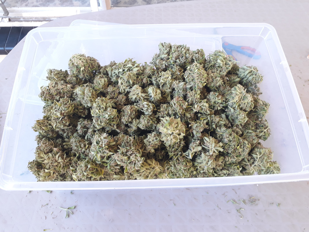 320g
