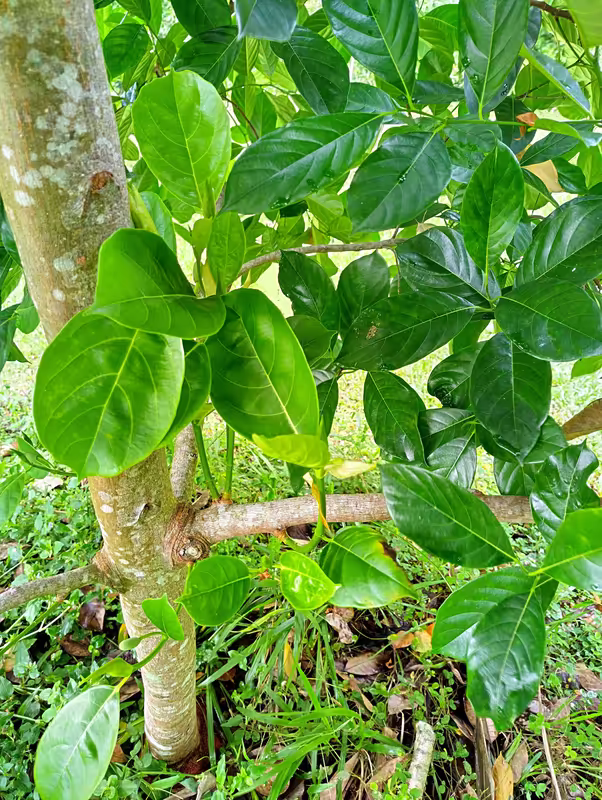 IMG_20240512_114330_HDR
