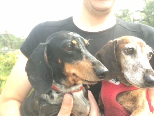 [Image: famille-royale.jpg]