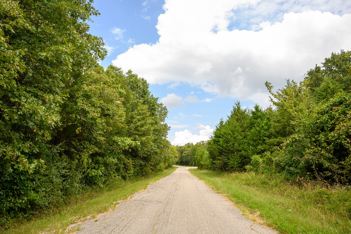 2 adjoining lots make a half acre!