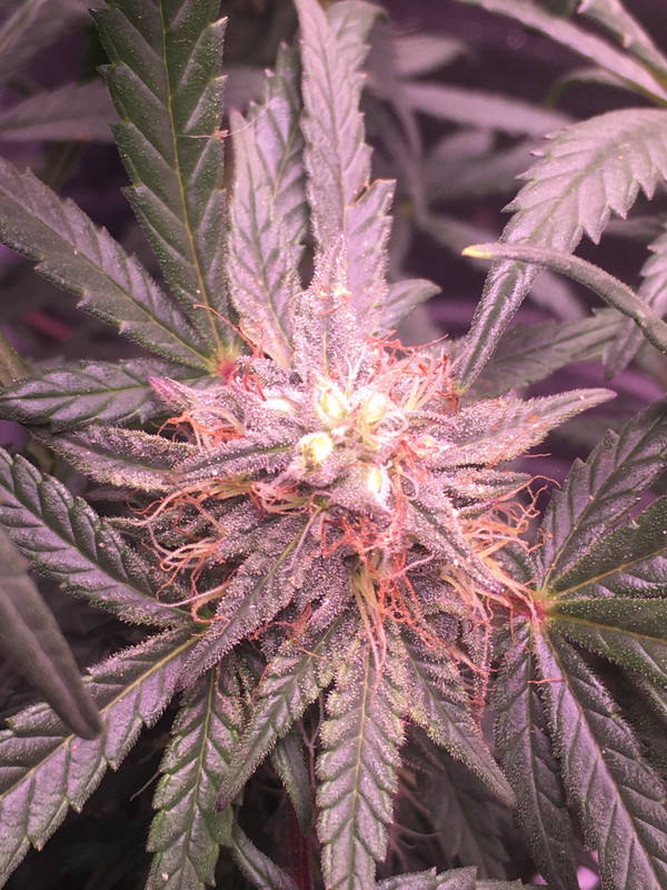 FB937E0F-6E16-4159-A5F8-E916760DA868