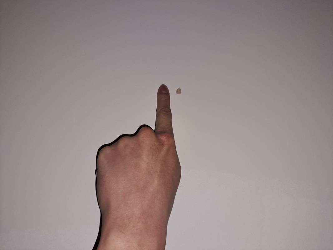 WhatsApp Image 2025-03-31 at 23.15.03_0f05a0ab