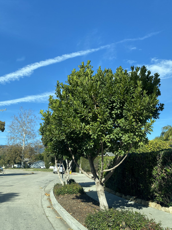 5703B2B0-A542-4394-8671-C81FB18C57C0