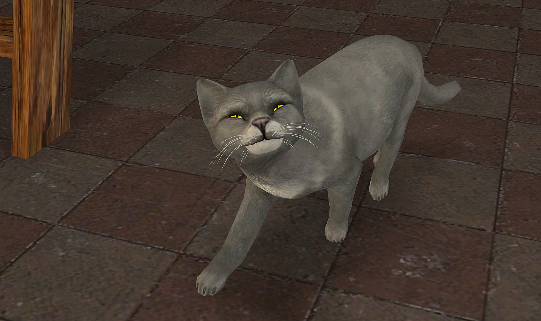 Greenshot-2025-07-07-20-44-38