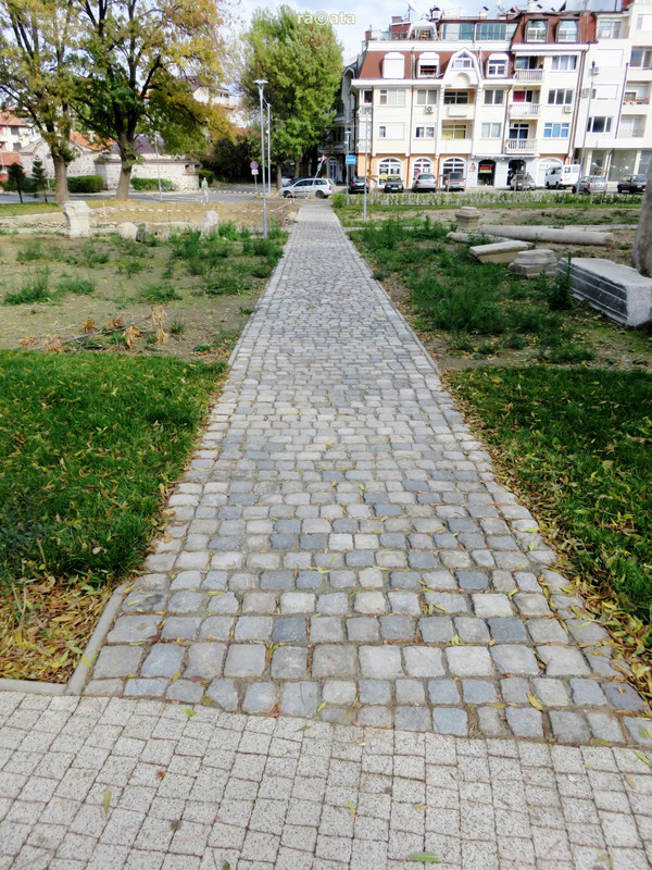 IMG-1049.jpg