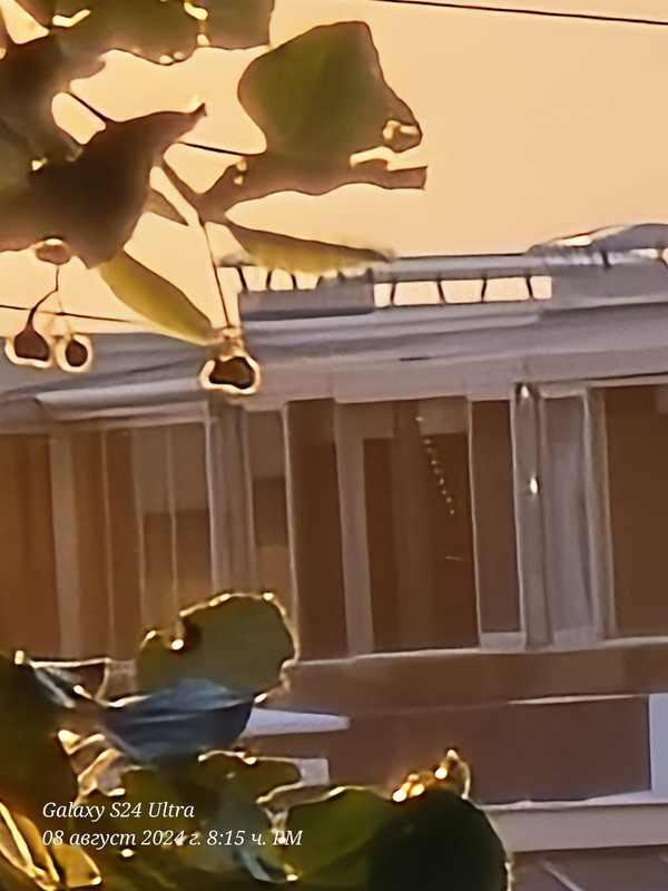 20240808_201550