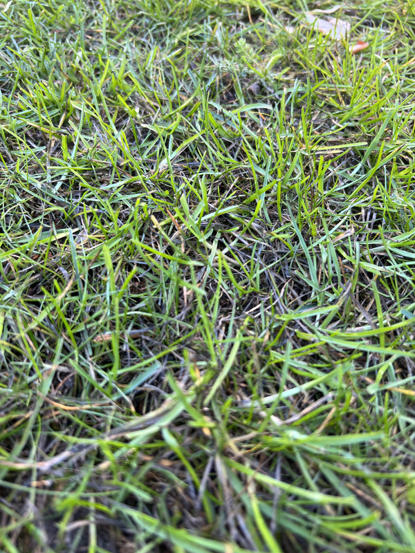 6B2DCE25-3926-4EB2-81CA-F02FB4EEED60