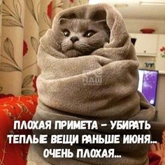 https://i.postimg.cc/fLhNJ61B/e0e25040cae64e02e2fffde1a6196151.jpg