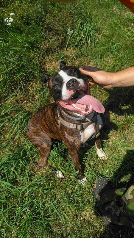 1303C449-9CF8-448D-9071-4629A264AF1C