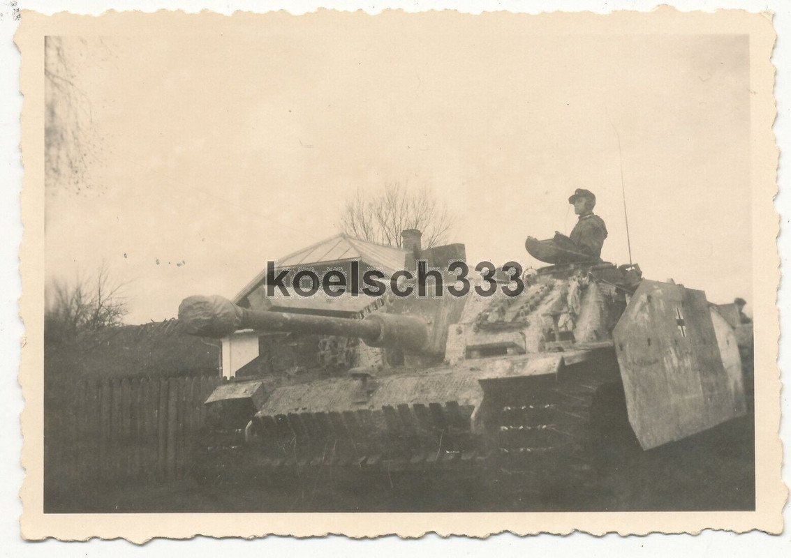 Foto Sturmgeschütz Panzer Abteilung Ostfront 1944 Kommandant im Langrohr StuG