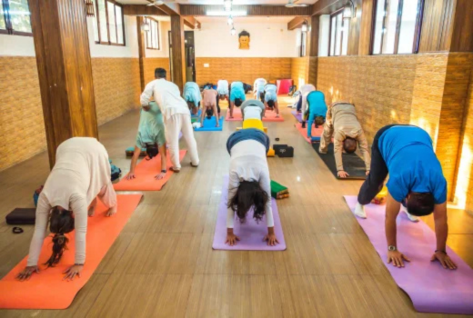 Best Yoga Ashram in Rishikesh