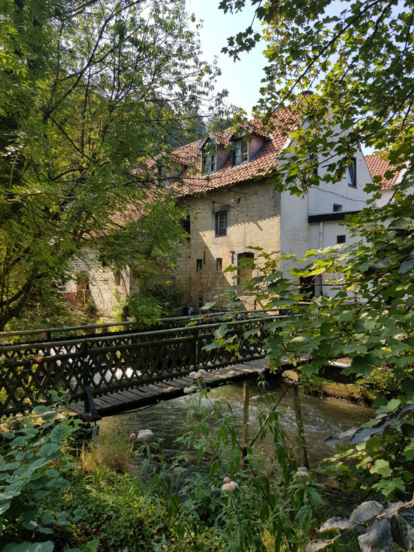 Pieter, Geulhemmer Molen 02 Terblijt 20-07-2018