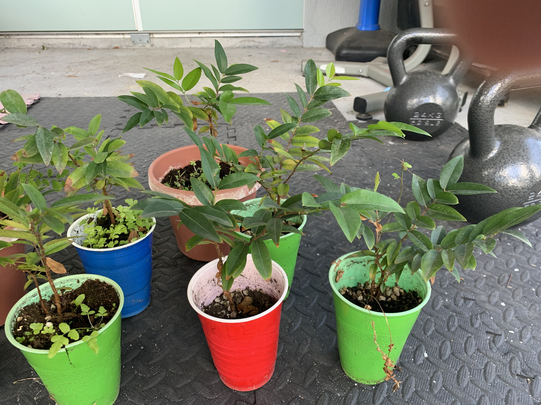 CBE06A4E-3C2D-43D3-AB54-13CCDB1E77F0