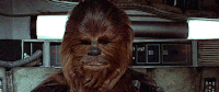 Chewy7f032b4f7474e6e4.gif