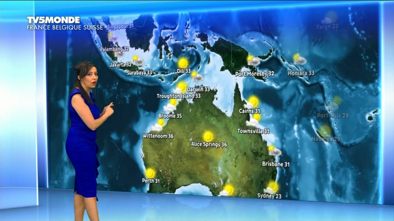 11.23 - 17.28.00 - Météo. Le bulletin météorologique international.ts_snapshot_09.49.898