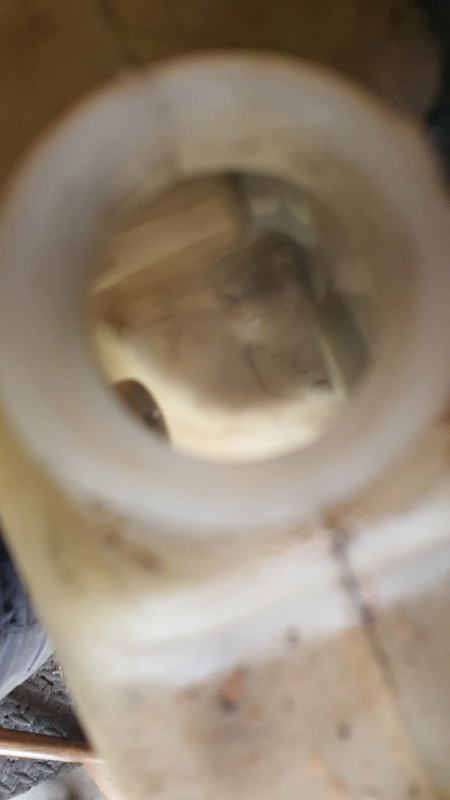 20230131_095012 (Custom)