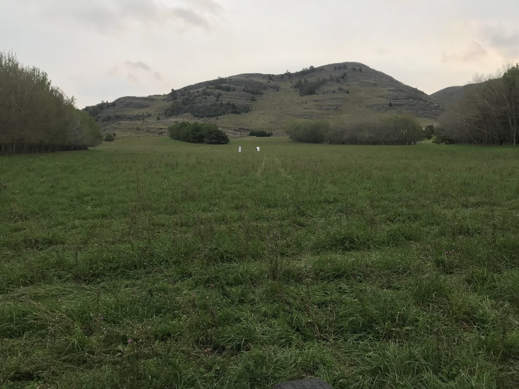 20352253-31FF-4C74-8CF2-55301F9B3C36