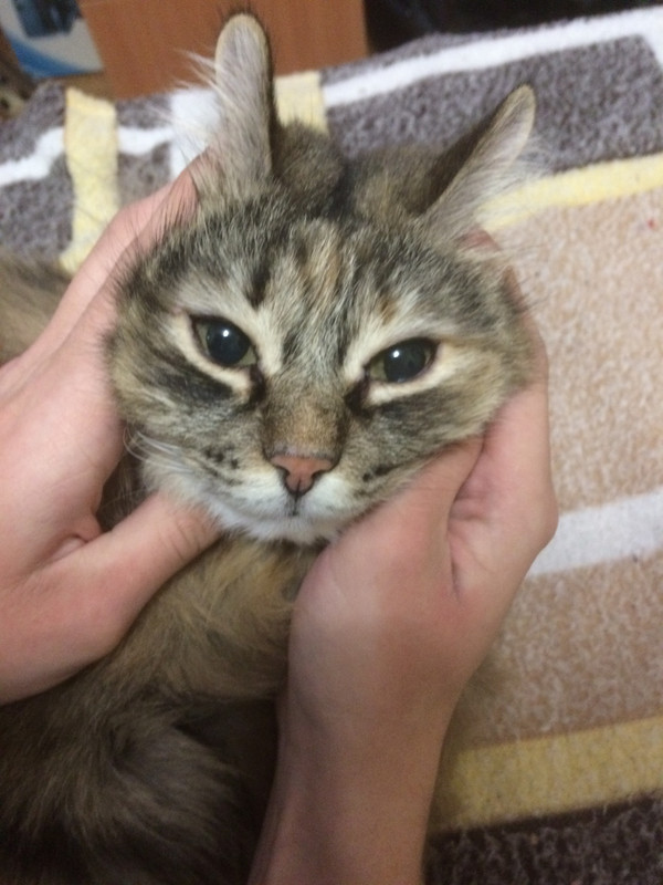 D7B2F55F-6C6E-4CEF-87A0-8AFDF7133922